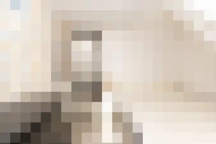 Zeestraat 15 Den Oever thumbnail 14