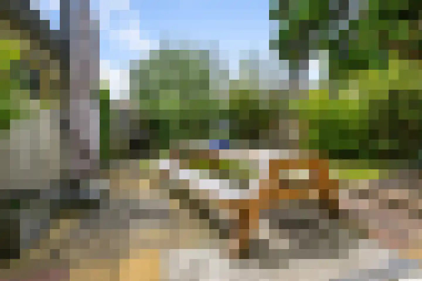 Zeestraat 166 Beverwijk thumbnail 28