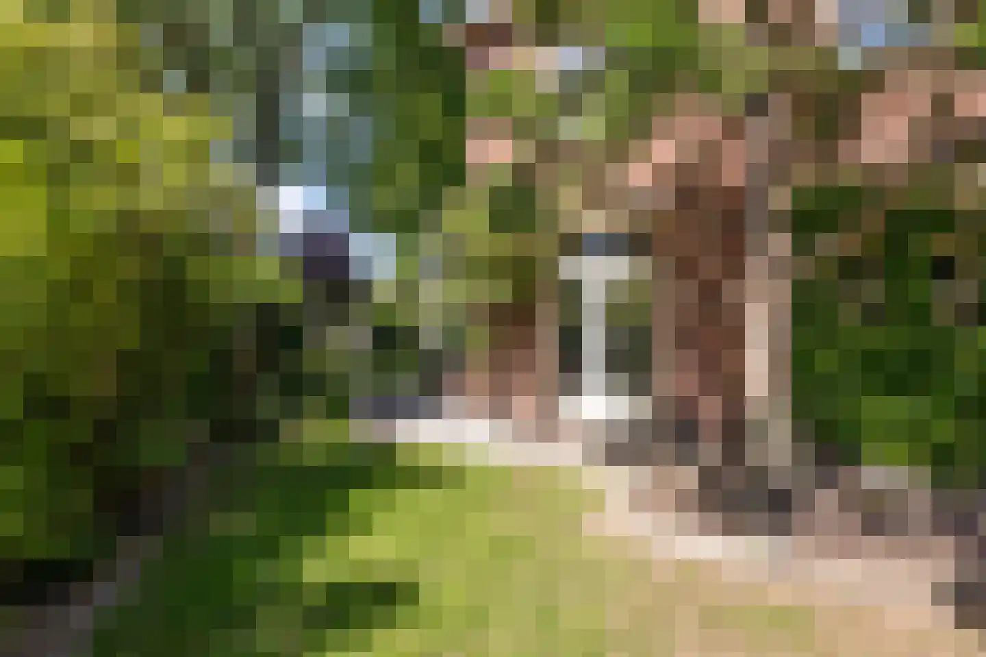 Zeestraat 166 Beverwijk thumbnail 66