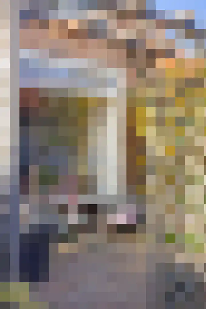 Zeestraat 3 's-Gravenzande thumbnail 11