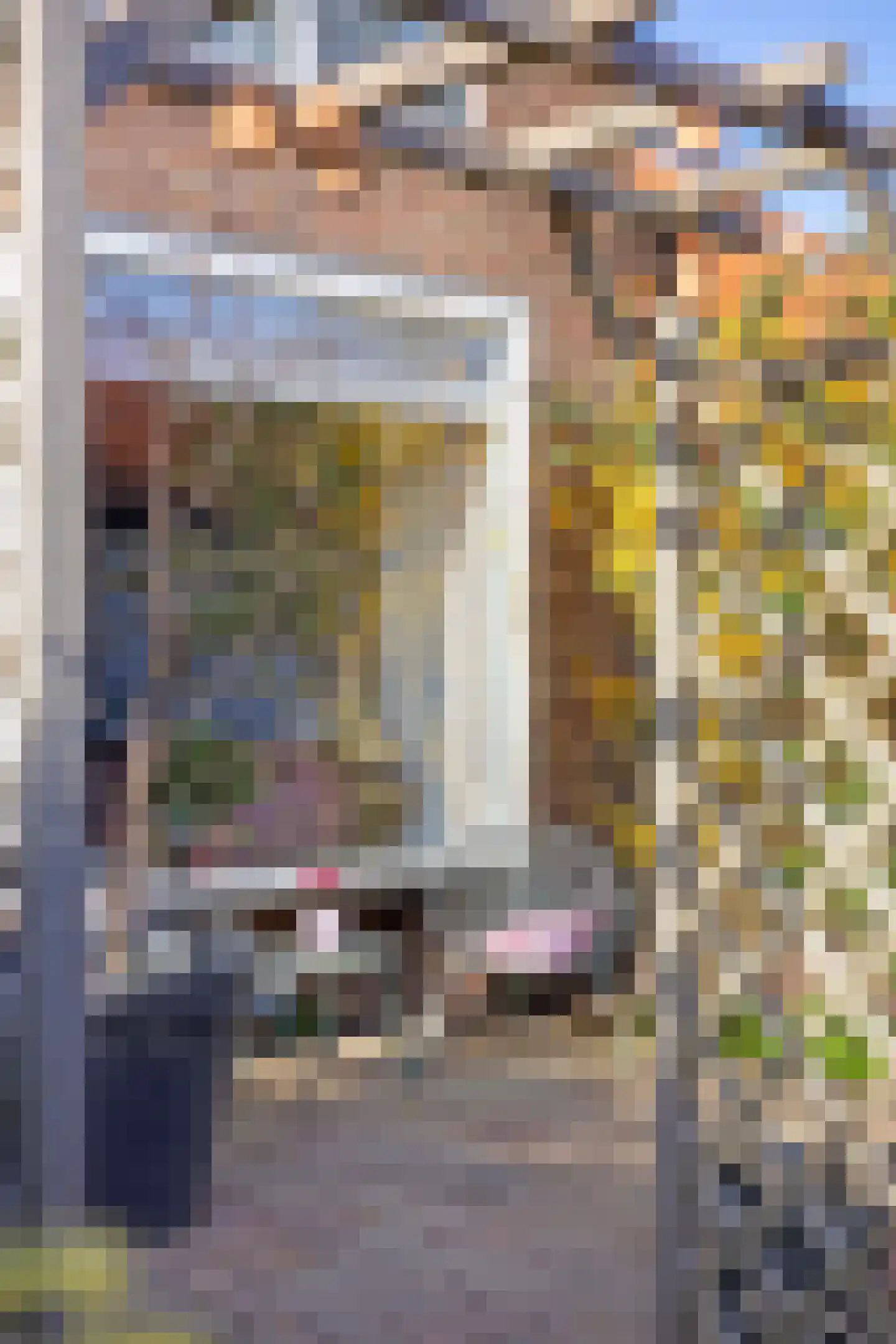 Zeestraat 3 's-Gravenzande thumbnail 11