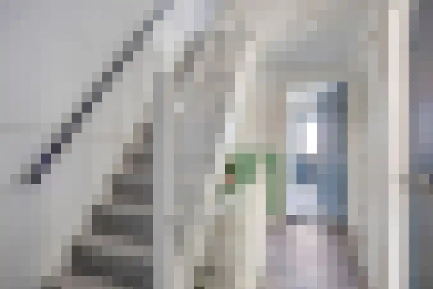 Zeestraat 3 's-Gravenzande thumbnail 50