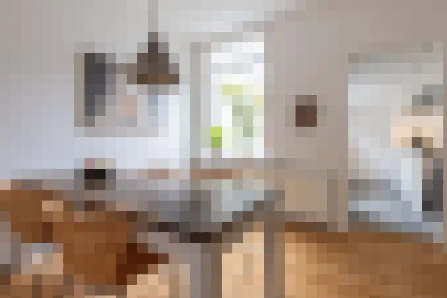 Zeestraat 36 Muiden thumbnail 12