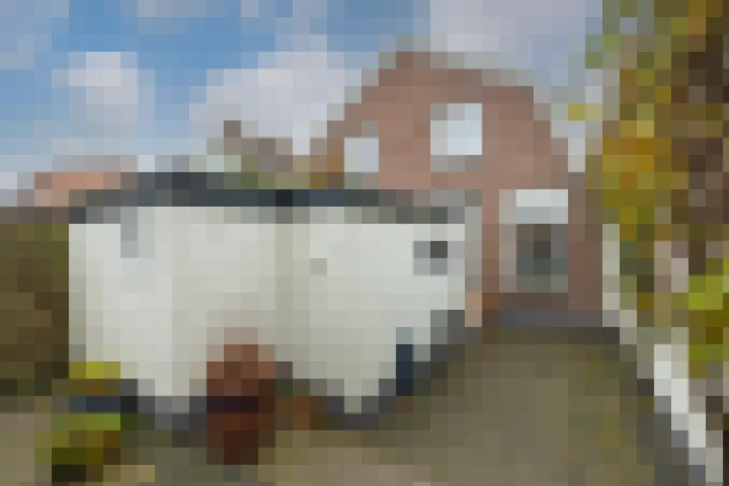 Zeestraat 36 Muiden thumbnail 25