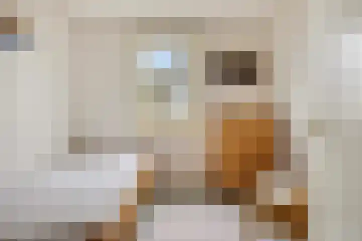 Zeestraat 4 Blankenham thumbnail 19