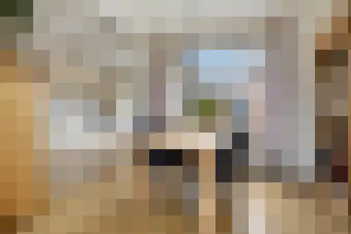 Zeestraat 4 Blankenham thumbnail 6