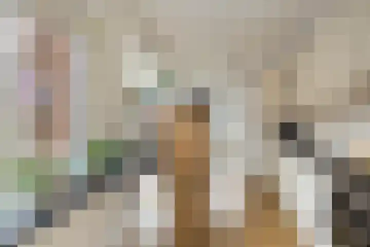 Zeestraat 4 Blankenham thumbnail 9