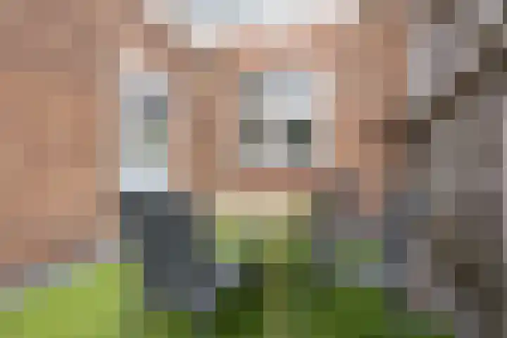 Zeestraat 40 Beverwijk thumbnail 23