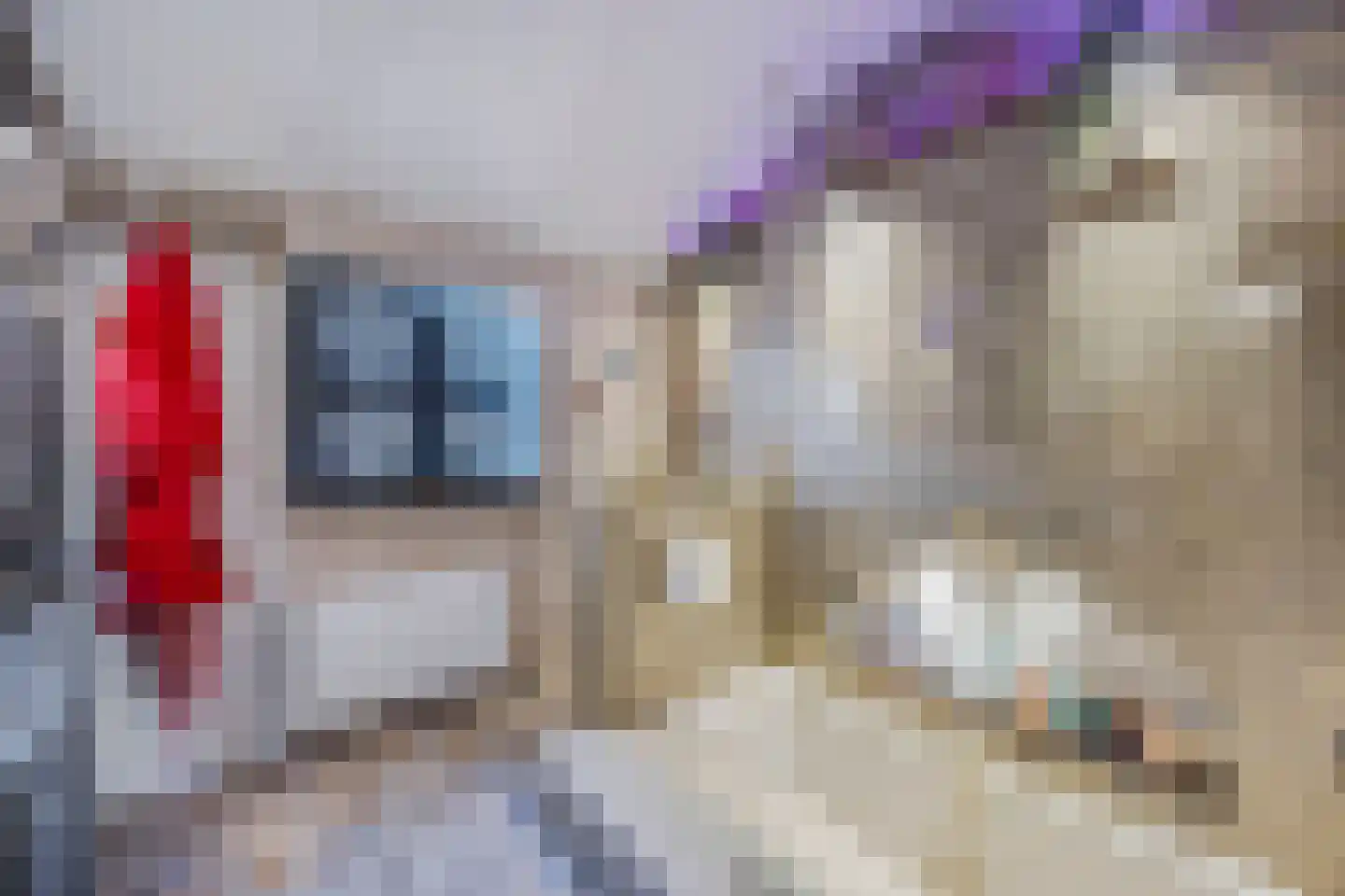 Zeestraat 417 Wijk aan Zee thumbnail 17