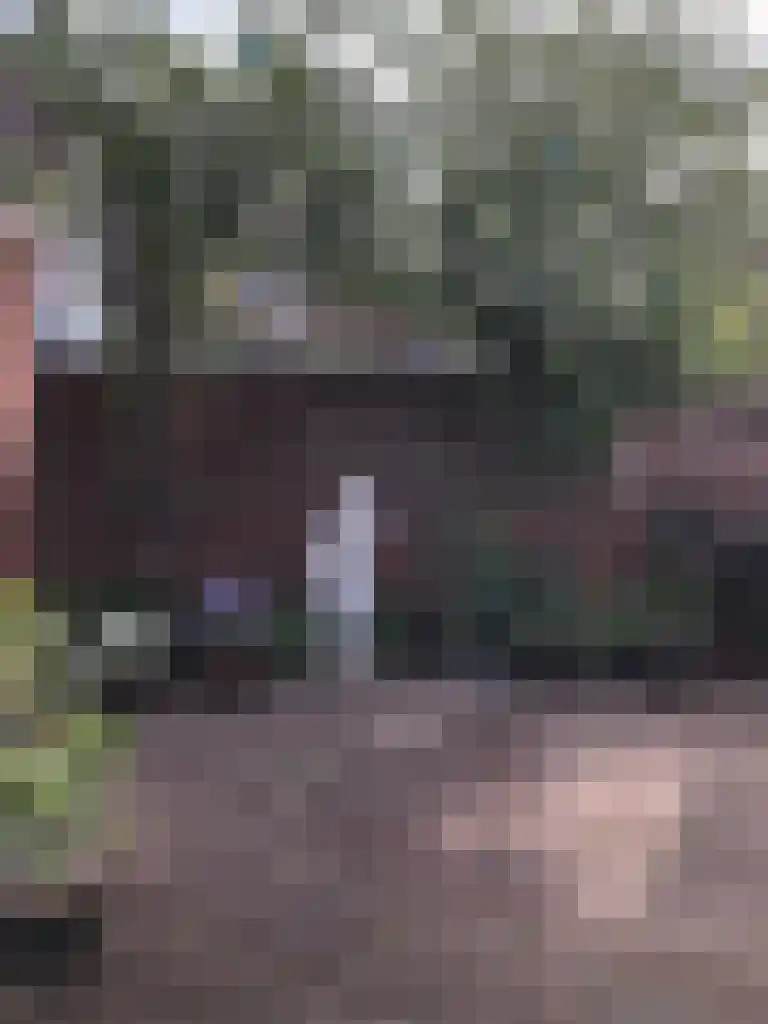 Zeestraat 417 Wijk aan Zee thumbnail 24