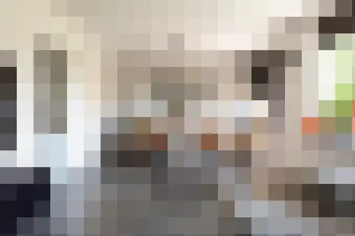 Zeestraat 47 Noordwijkerhout thumbnail 5
