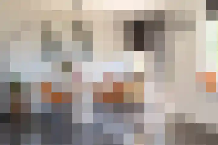 Zeestraat 47 Noordwijkerhout thumbnail 7