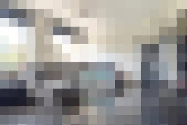 Zeestraat 47 Noordwijkerhout thumbnail 9