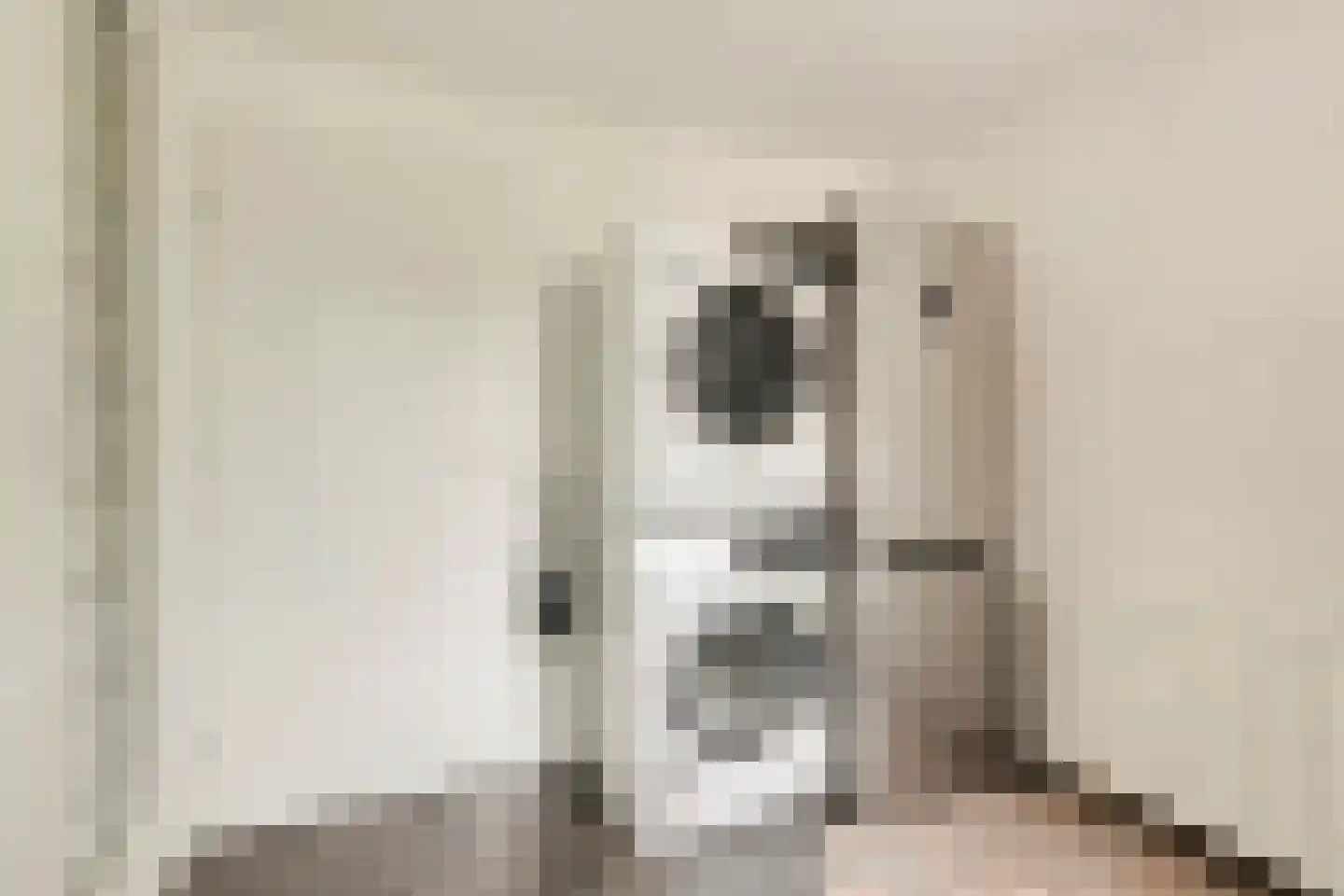 Zeestraat 5 Blankenham thumbnail 15