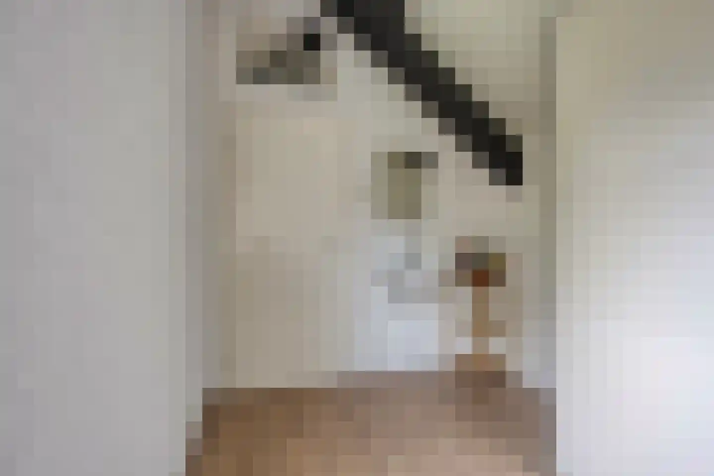 Zeestraat 5 Blankenham thumbnail 25