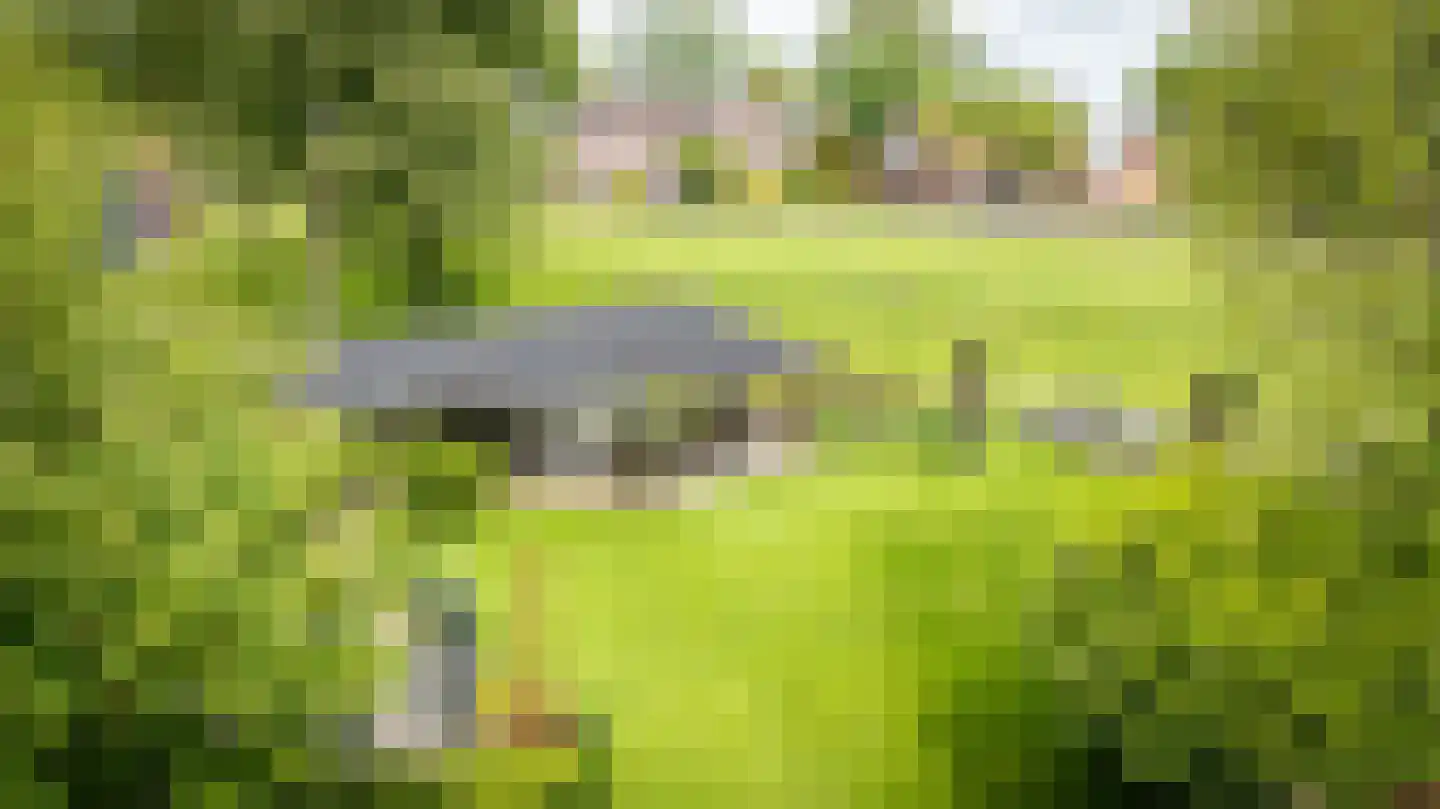 Zeestraat 5 Blankenham thumbnail 32