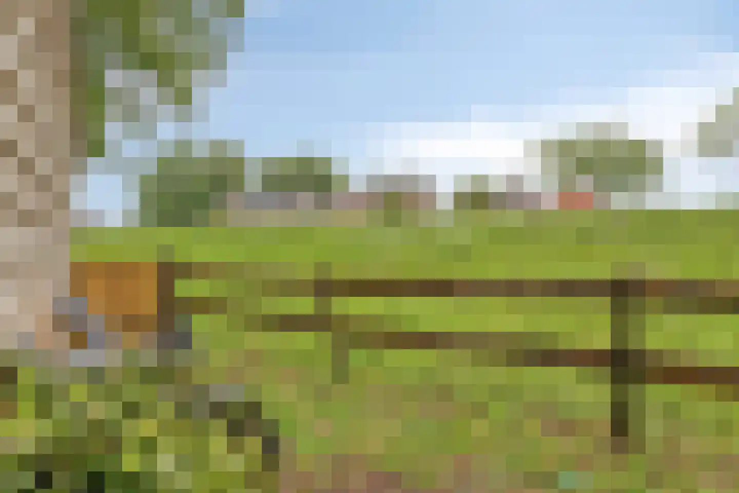 Zeestraat 5 Blankenham thumbnail 37