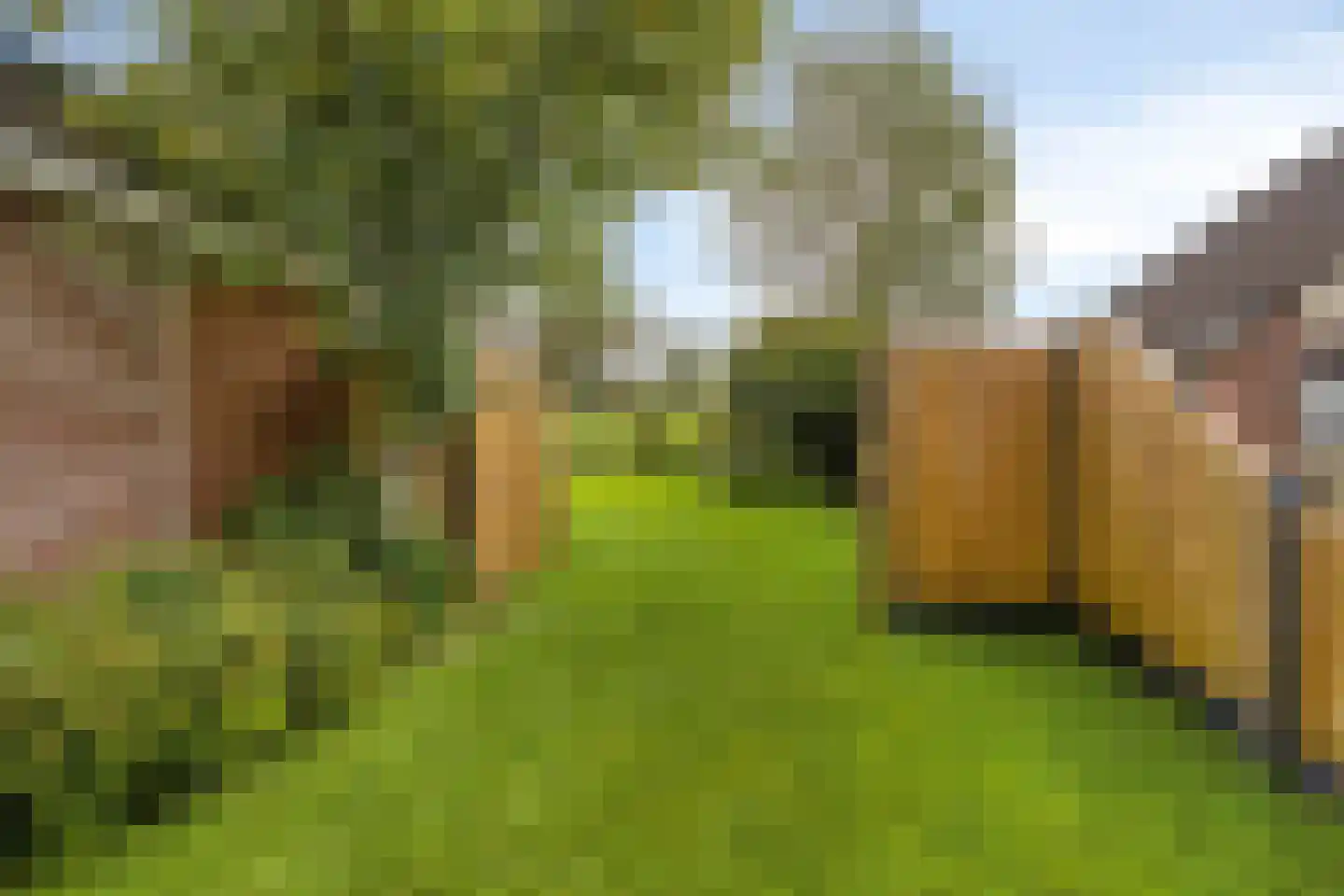 Zeestraat 5 Blankenham thumbnail 46