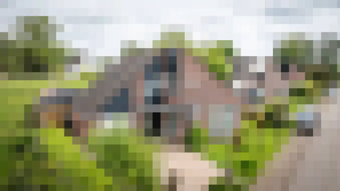Zeestraat 5 Blankenham thumbnail 50