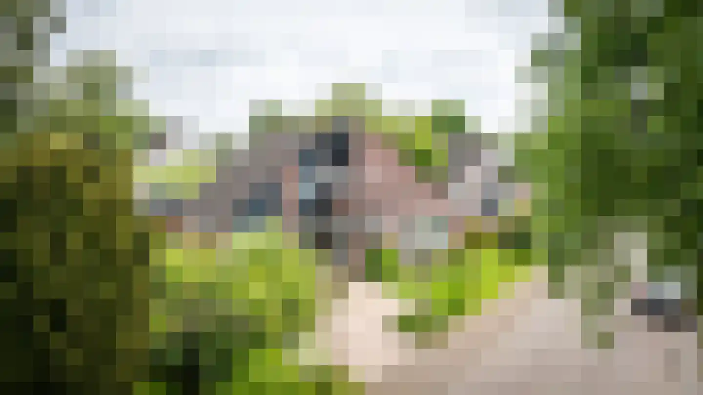 Zeestraat 5 Blankenham thumbnail 53