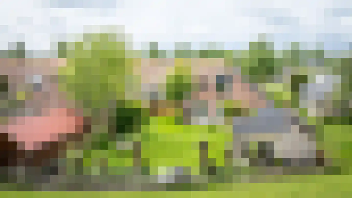 Zeestraat 5 Blankenham thumbnail 54