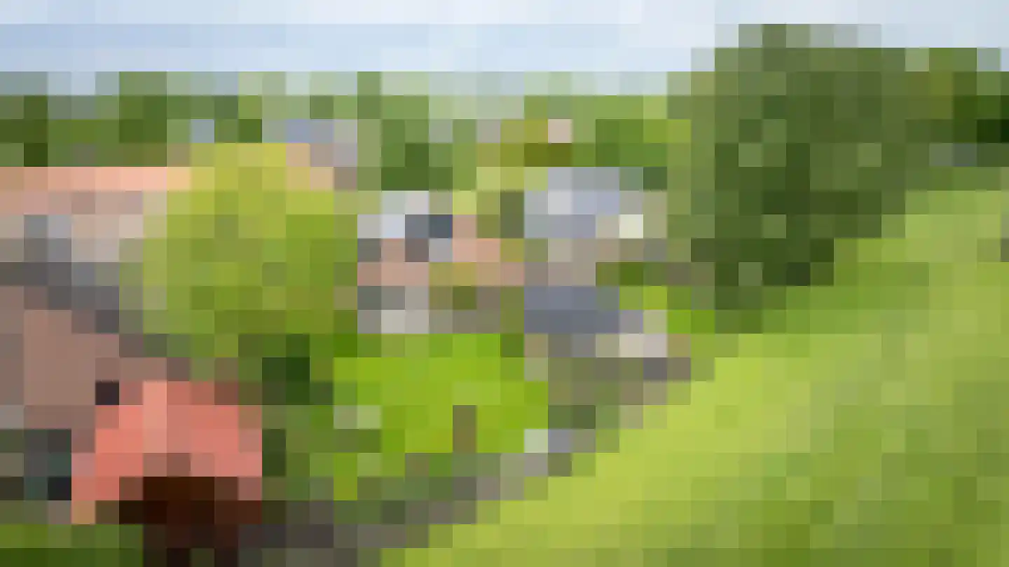 Zeestraat 5 Blankenham thumbnail 56