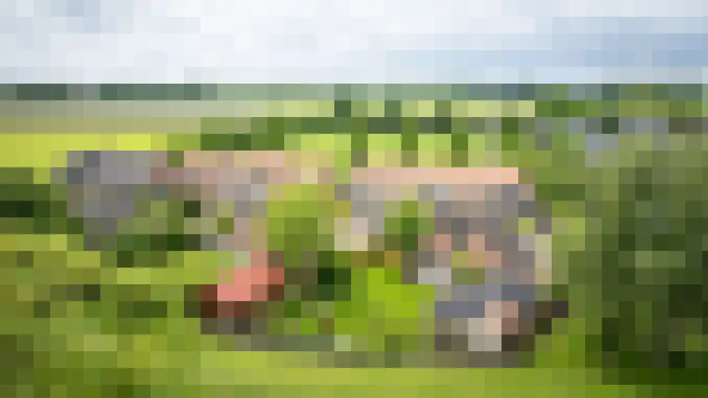 Zeestraat 5 Blankenham thumbnail 57