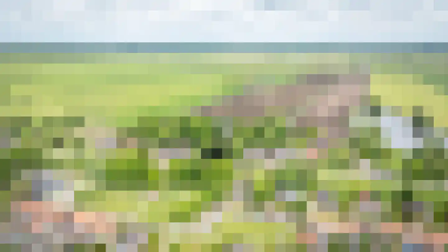Zeestraat 5 Blankenham thumbnail 63