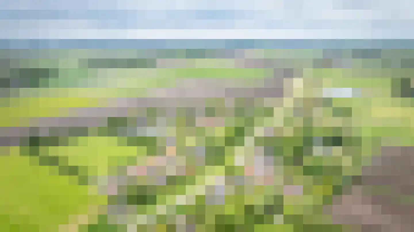 Zeestraat 5 Blankenham thumbnail 65