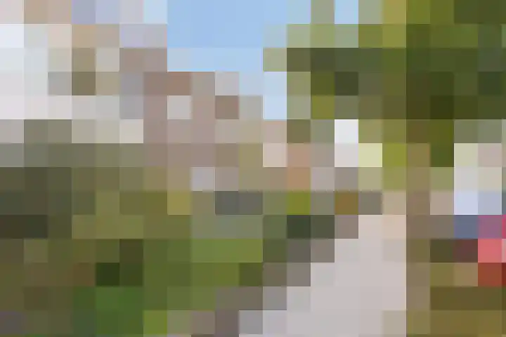 Zeestraat 51 Noordwijkerhout thumbnail 8