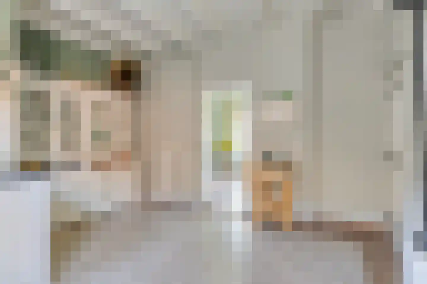Zeestraat 54 A Noordwijkerhout thumbnail 27