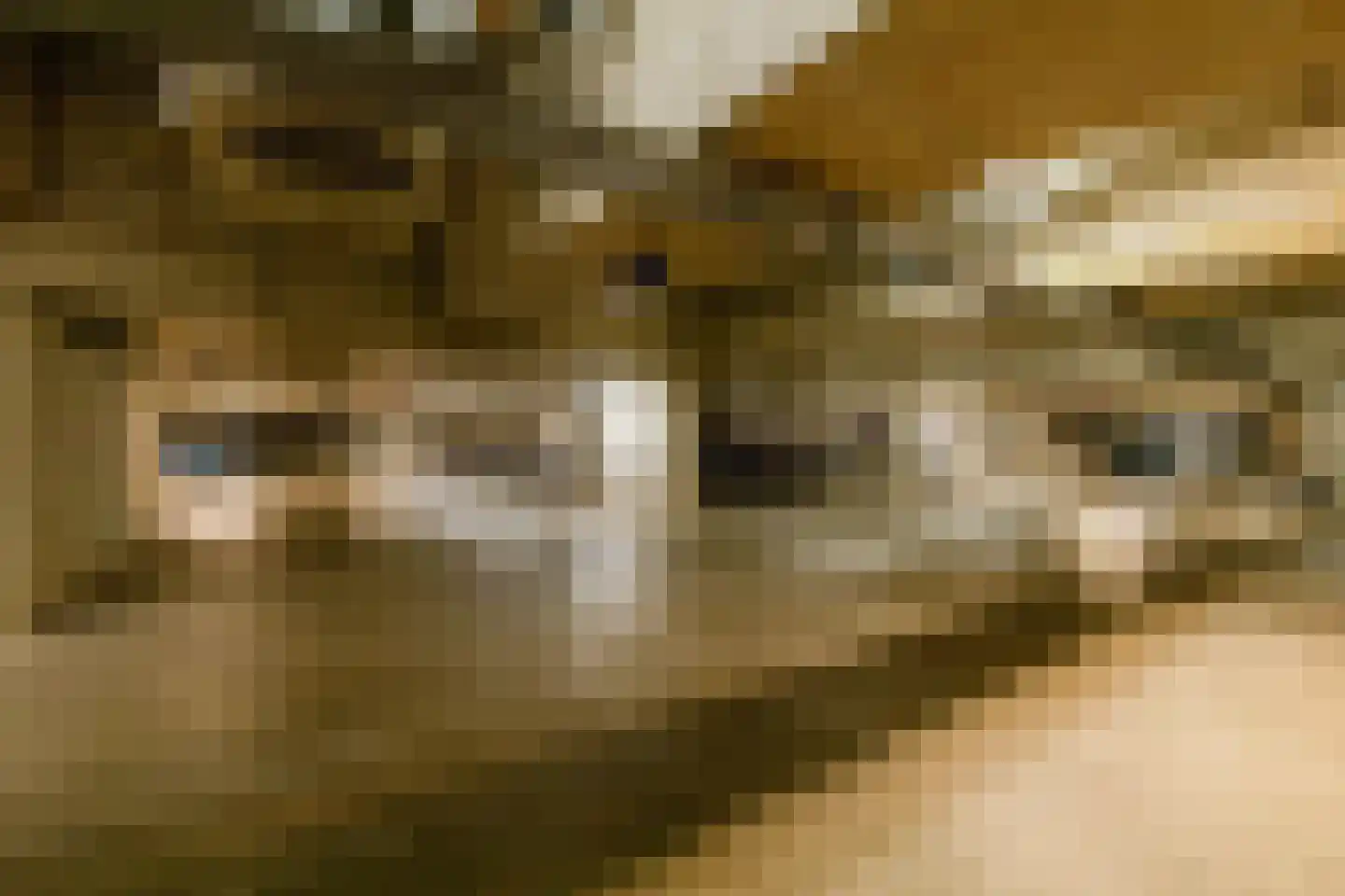 Zeestraat 7 M1 Noordwijkerhout thumbnail 11