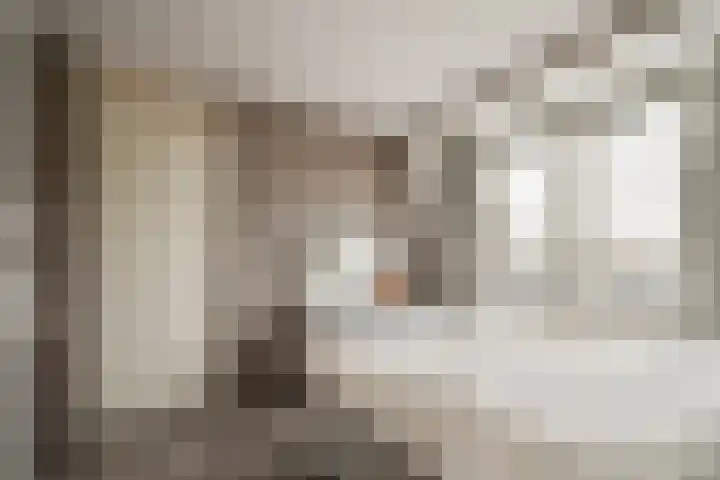 Zeestraat 7 M39 Noordwijkerhout thumbnail 12