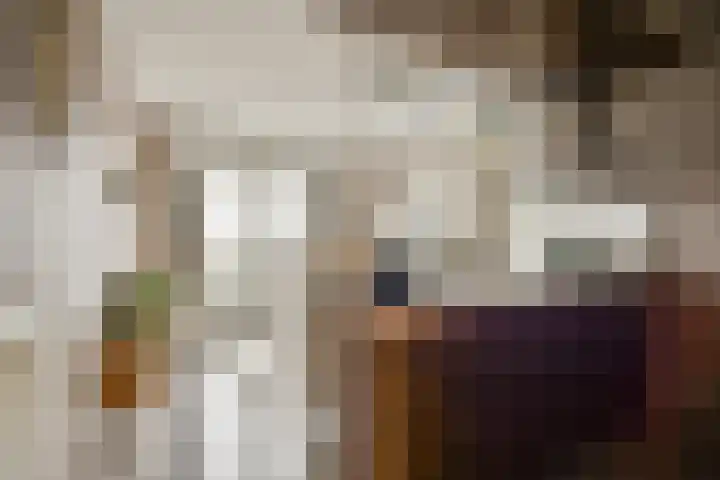 Zeestraat 7 M39 Noordwijkerhout thumbnail 4