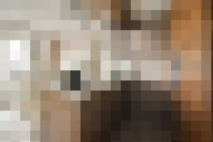Zeestraat 7 M39 Noordwijkerhout thumbnail 8