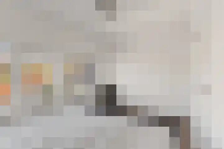 Zeestraat 8 Noordwijk thumbnail 21