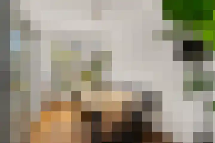 Zeestraat 8 Noordwijk thumbnail 7