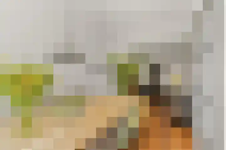 Zeestraat 8 Noordwijk thumbnail 8