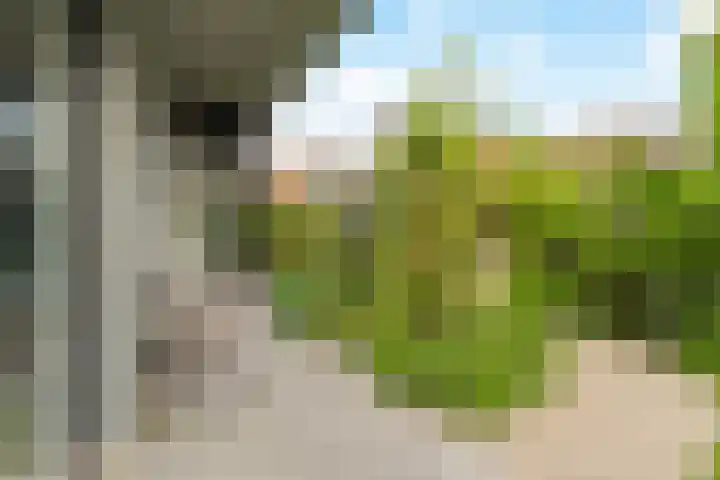 Zeestraat 9 Noordwijk thumbnail 18