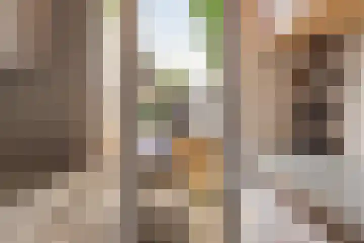 Zeestraat 9 Noordwijk thumbnail 21