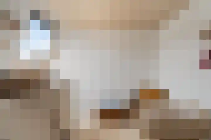 Zeestraat 9 Noordwijk thumbnail 32