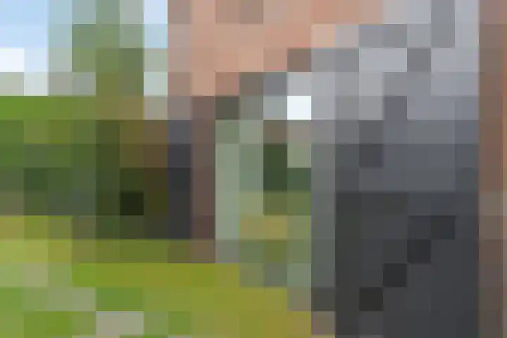 Zeestraat 9 Noordwijk thumbnail 35