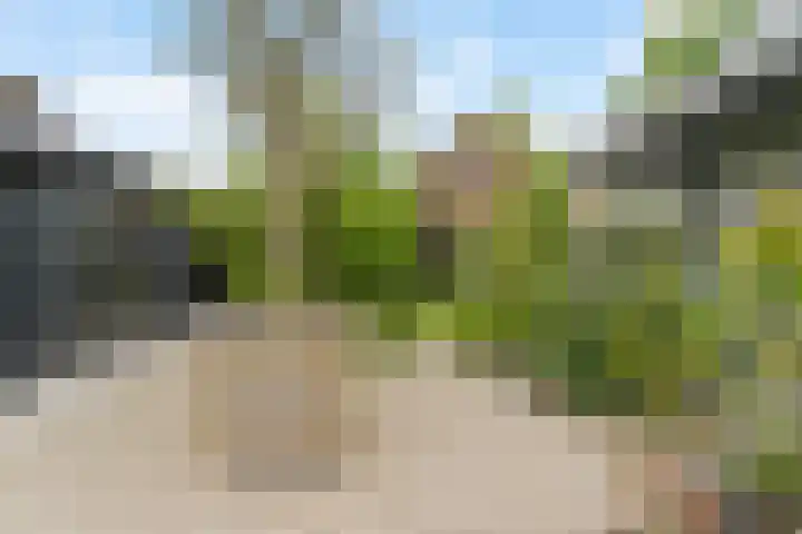 Zeestraat 9 Noordwijk thumbnail 5
