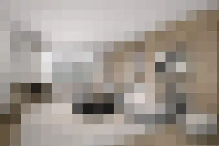 Zeestraat 96 's-Gravenzande thumbnail 6