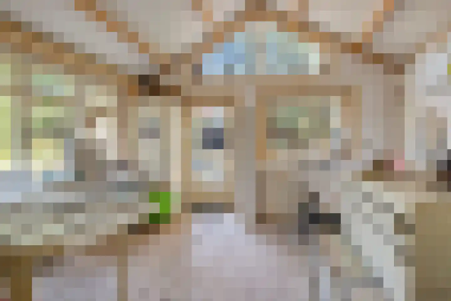 Zeestraat 97 Noordwijkerhout thumbnail 25