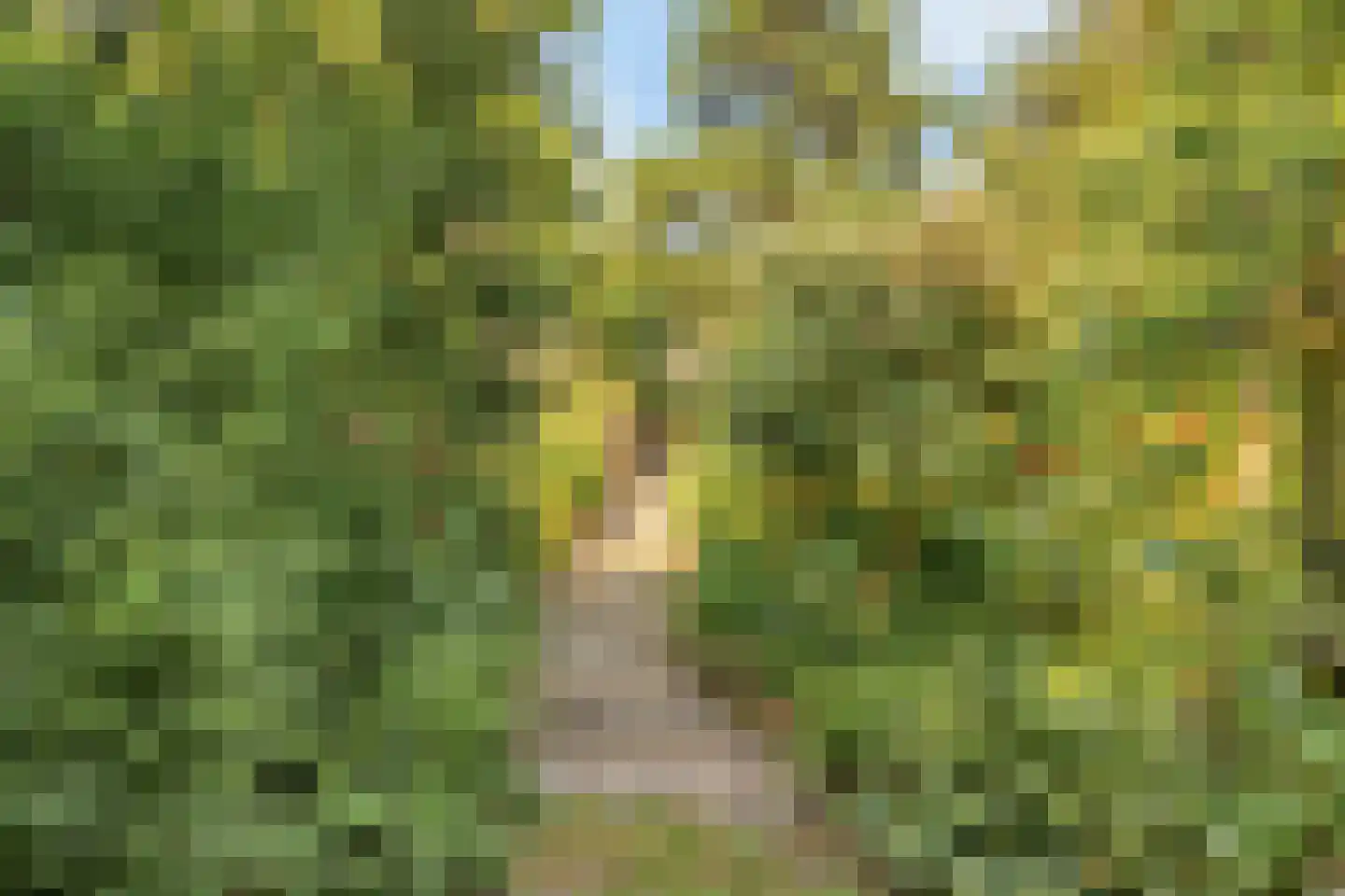 Zeestraat 97 Noordwijkerhout thumbnail 32