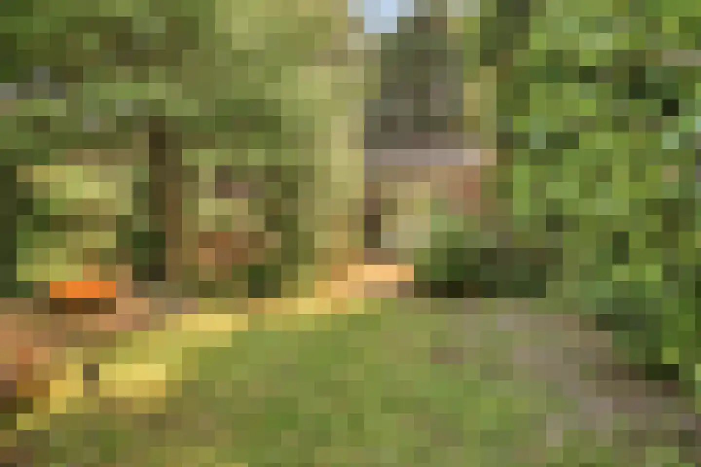 Zeestraat 97 Noordwijkerhout thumbnail 34