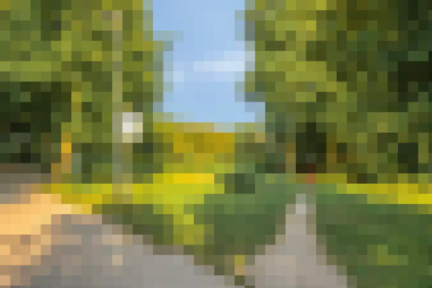 Zeestraat 97 Noordwijkerhout thumbnail 40