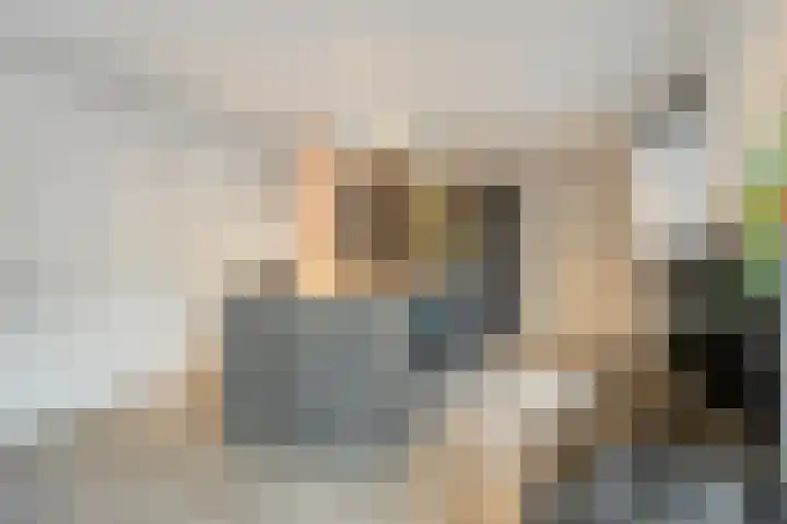 Zeeuwendonk 6 Helmond thumbnail 11