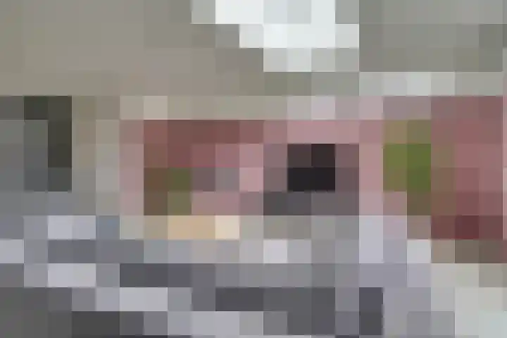 Zeeuwendonk 6 Helmond thumbnail 12
